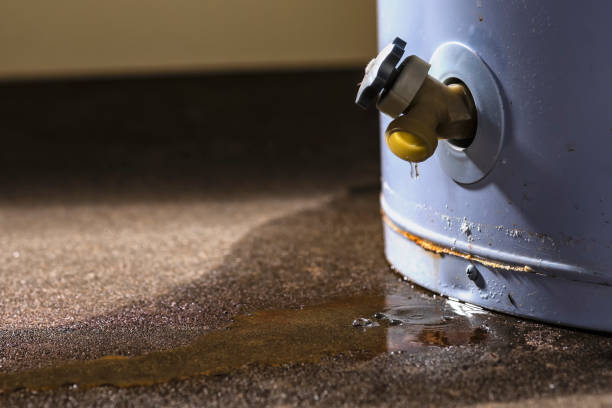 Best Water damage restoration near me  in Century, FL