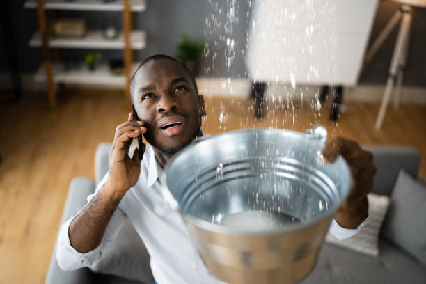 Best Water damage cleanup near me  in Century, FL