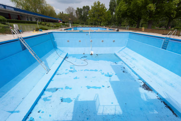 Best Flood restoration services  in Century, FL