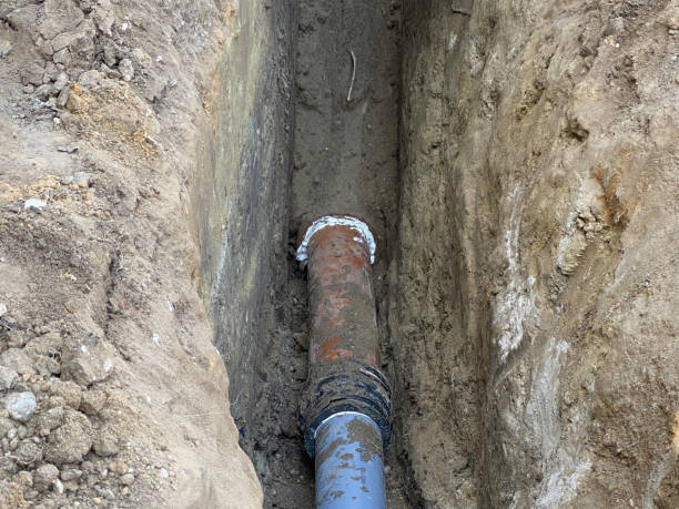 Best Sewage cleanup and water damage restoration  in Century, FL