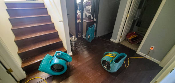 Best Flooded house restoration  in Century, FL