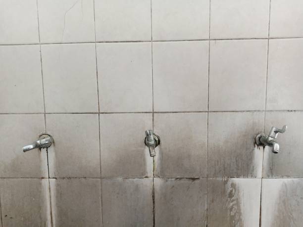Best Carpet water damage restoration  in Century, FL