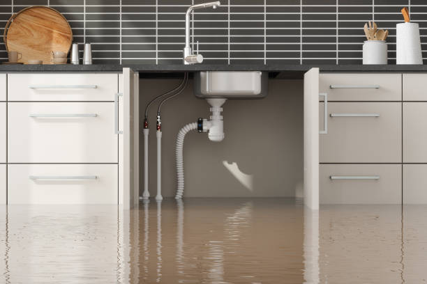 Best Professional water damage repair  in Century, FL