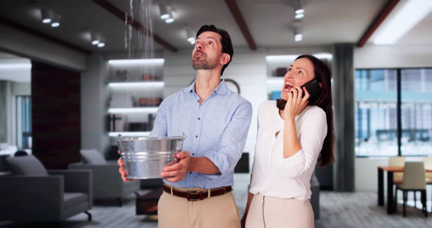 Best Flood damage cleanup  in Century, FL
