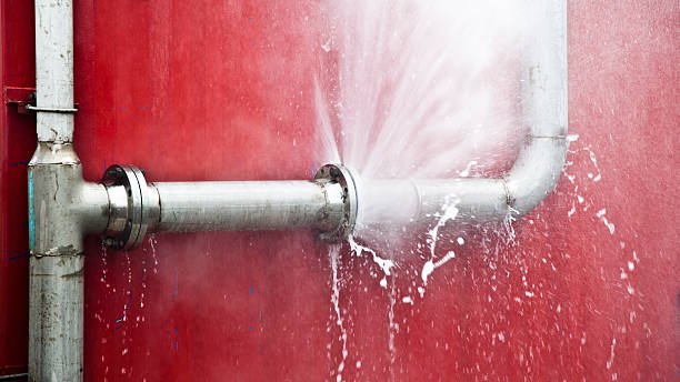 Best Basement water damage restoration  in Century, FL