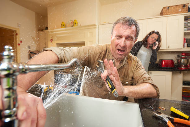 Best Sewage cleanup and water damage restoration  in Century, FL